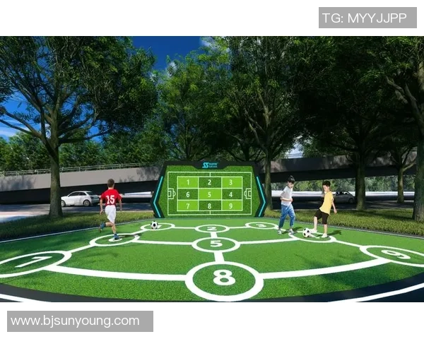 南京足球队耐力争议引发热议球迷与专家各执己见探讨球队未来发展方向