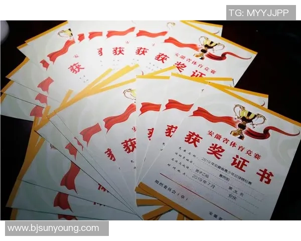 足球简素描：在绿茵场上描绘梦想与激情的瞬间