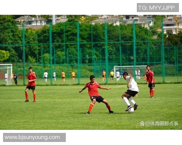 俞明足球：探索中国足球的未来与发展路径，助力青少年成长与竞技提升