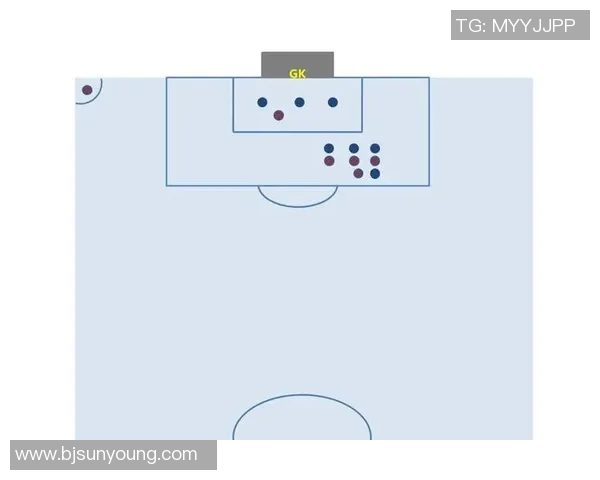 武汉排球队区域防守策略解析与战术应用探讨