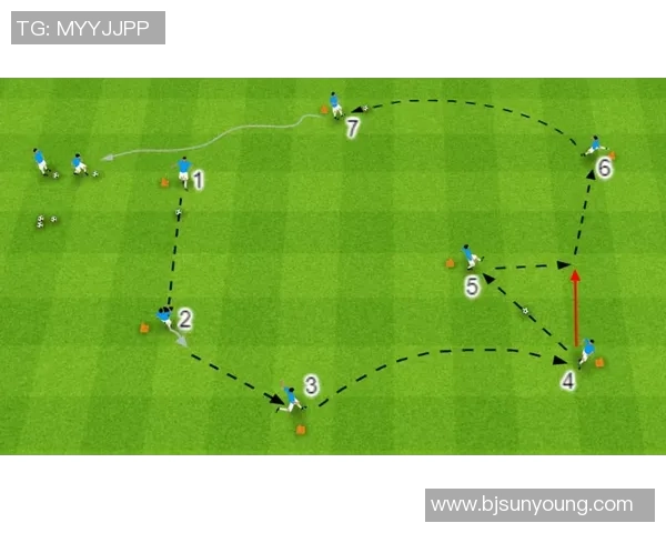 火候足球的魅力与策略探讨如何提升球员表现与团队协作能力