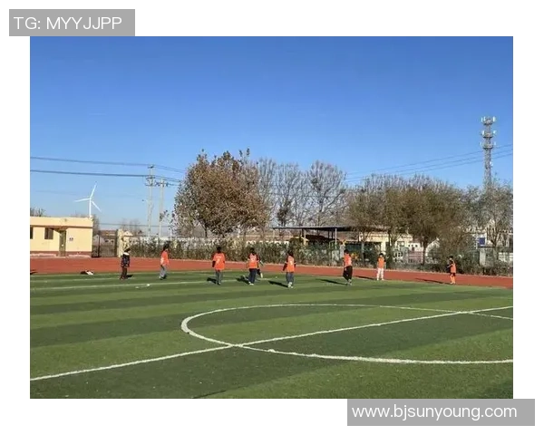 足球登场时刻全景回顾与精彩瞬间分享让我们一起感受绿茵场上的激情与梦想