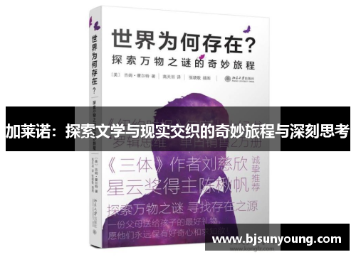 加莱诺：探索文学与现实交织的奇妙旅程与深刻思考