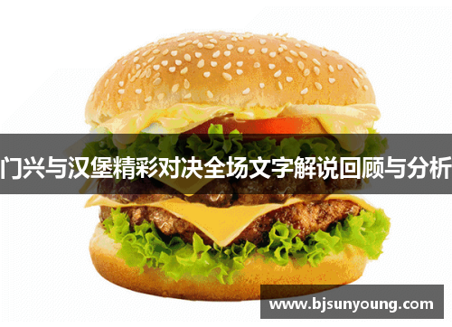 门兴与汉堡精彩对决全场文字解说回顾与分析