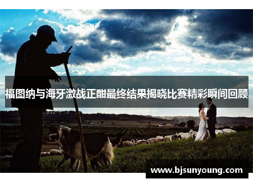 福图纳与海牙激战正酣最终结果揭晓比赛精彩瞬间回顾